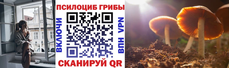 Псилоцибиновые грибы прущие грибы Грайворон