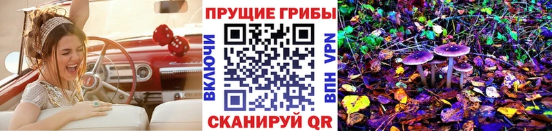 купить закладку  Грайворон  Галлюциногенные грибы Magic Shrooms 